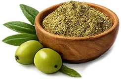 Extrakt z olivových listů — rostlinná složka produktu {{OFFER_NAME}}, bohatá na polyfenoly