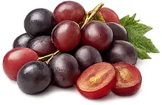 Resveratrol — antioxidační polyfenol v produktu {{OFFER_NAME}}