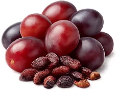 Resveratrol — antioxidační polyfenol v produktu {{OFFER_NAME}}